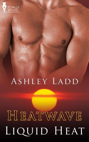 Cover of the book Liquid Heat by T.A. Chase