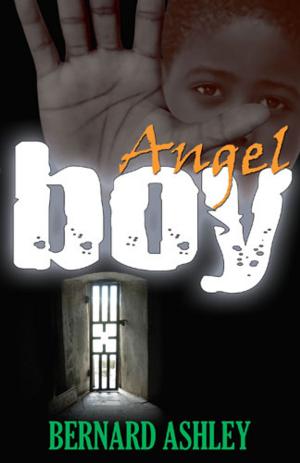 Cover of the book Angel Boy by Jonny Zucker