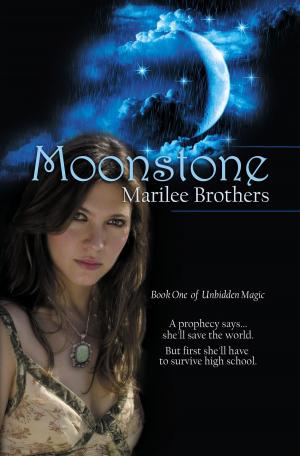 Cover of the book Moonstone by Lindi Peterson