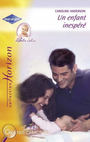 Cover of the book Un enfant inespéré (Harlequin Horizon) by Jennifer Lewis, RaeAnne Thayne