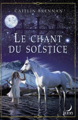 Book cover of Le chant du solstice