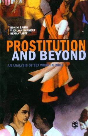 Cover of the book Prostitution and Beyond by Delores B. Lindsey, Randall B. Lindsey, Dr. Kikanza Nuri-Robins, Dr. Raymond D. Terrell