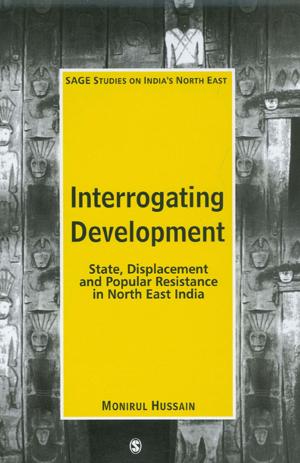 Cover of the book Interrogating Development by Dr. Beth M. Sipe, Dr. Evelyn J. Hall