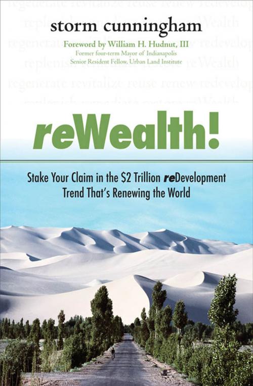Cover of the book ReWealth!: Stake Your Claim in the $2 Trillion Development Trend That's Renewing the World by Storm Cunningham, McGraw-Hill Education