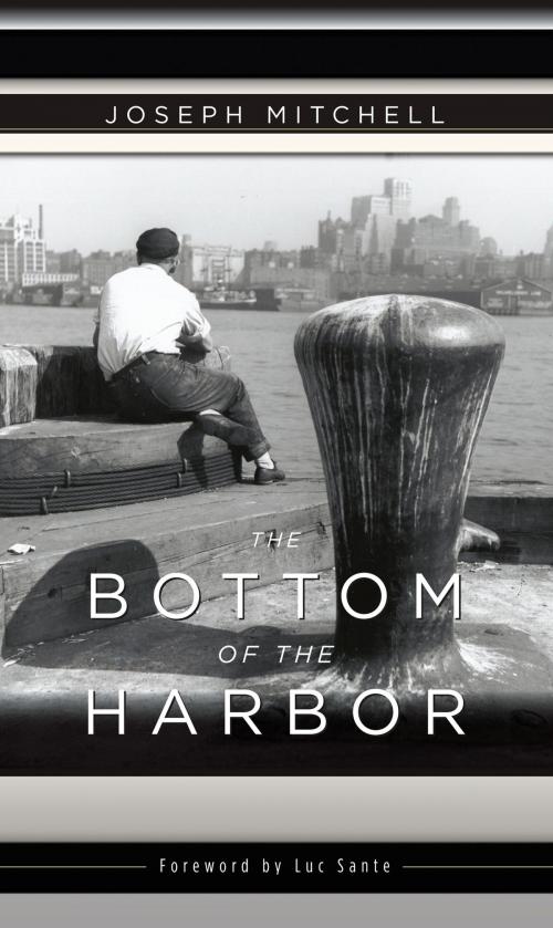 Cover of the book The Bottom of the Harbor by Joseph Mitchell, Knopf Doubleday Publishing Group