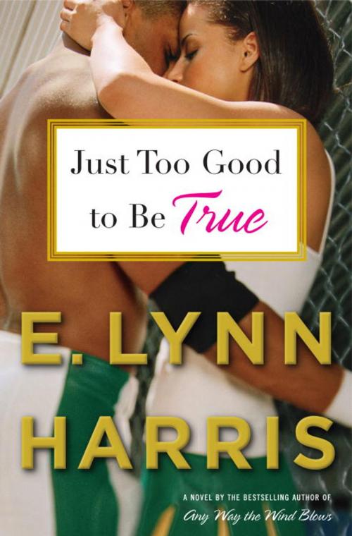 Cover of the book Just Too Good to Be True by E. Lynn Harris, Knopf Doubleday Publishing Group