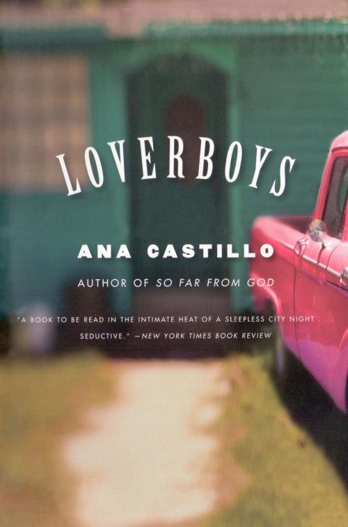 Cover of the book Loverboys by Ana Castillo, W. W. Norton & Company