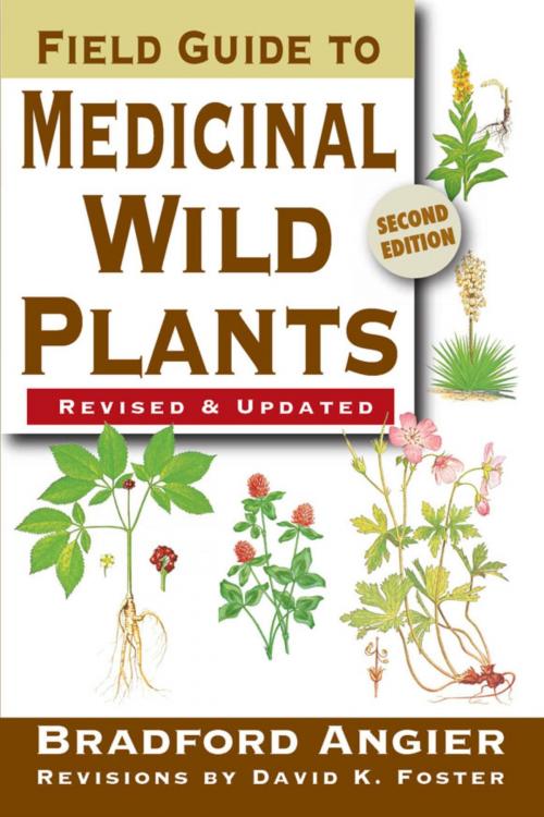 Cover of the book Field Guide to Medicinal Wild Plants by Bradford Angier, David K. Foster, Stackpole Books