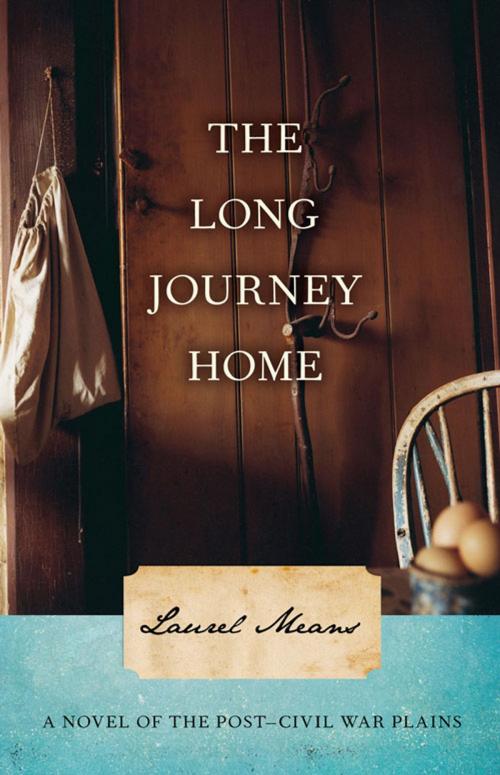Cover of the book The Long Journey Home by Laurel Means, Chicago Review Press