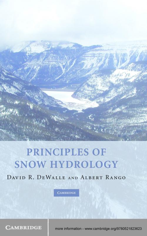 Cover of the book Principles of Snow Hydrology by David R. DeWalle, Albert Rango, Cambridge University Press