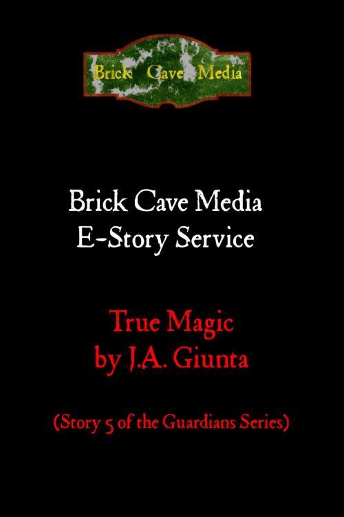Cover of the book True Magic by J.A. Giunta, Brick Cave Media
