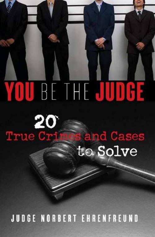 Cover of the book You Be the Judge by Judge Ehrenfreund, Sourcebooks