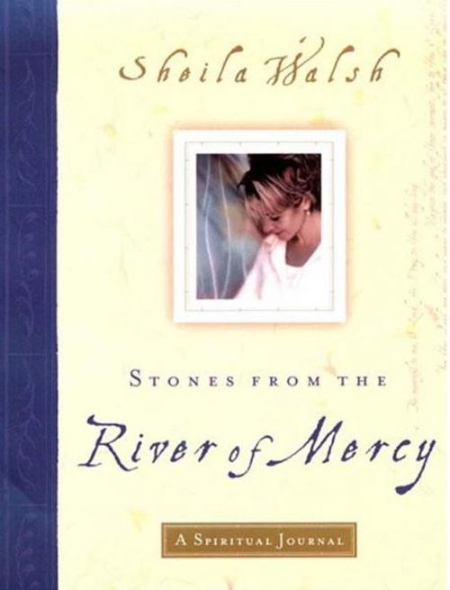 Cover of the book Stones from the River of Mercy by Sheila Walsh, Thomas Nelson
