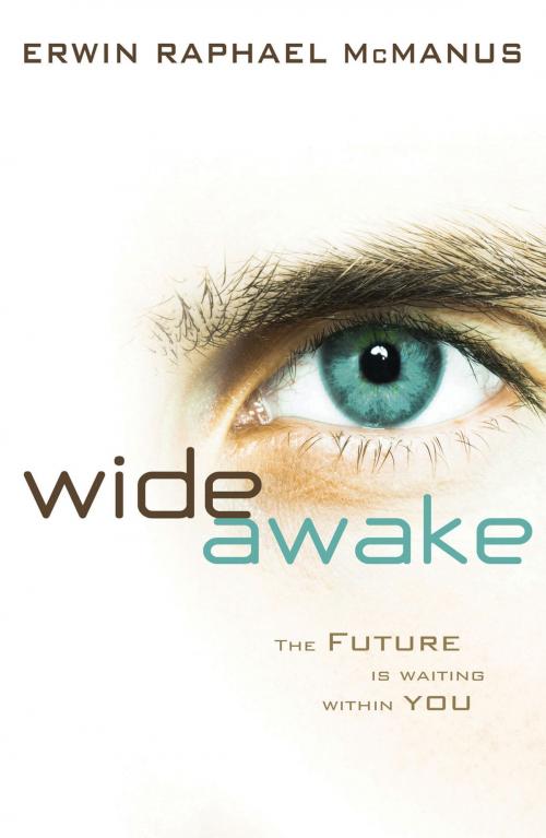 Cover of the book Wide Awake by Erwin Raphael McManus, Thomas Nelson