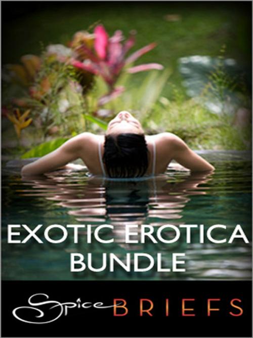 Cover of the book Exotic Erotica Bundle by Delilah Devlin, Jina Bacarr, Eden Bradley, Spice