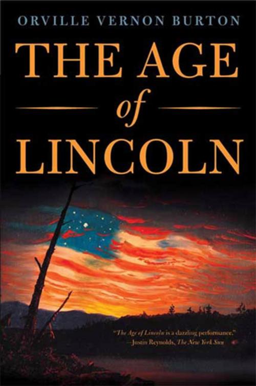 Cover of the book The Age of Lincoln by Orville Vernon Burton, Farrar, Straus and Giroux