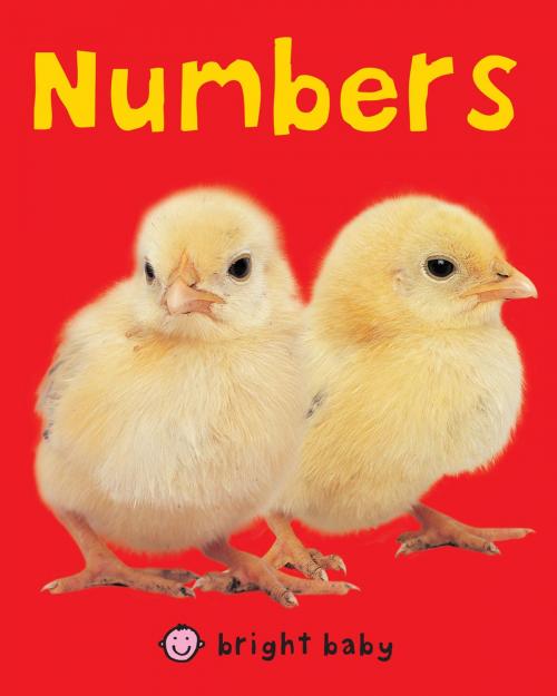 Cover of the book Bright Baby Numbers by Roger Priddy, St. Martin's Press