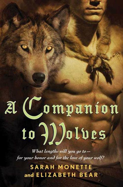 Cover of the book A Companion to Wolves by Elizabeth Bear, Sarah Monette, Tom Doherty Associates