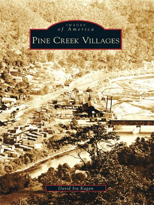 Cover of the book Pine Creek Villages by David Ira Kagan, Arcadia Publishing Inc.