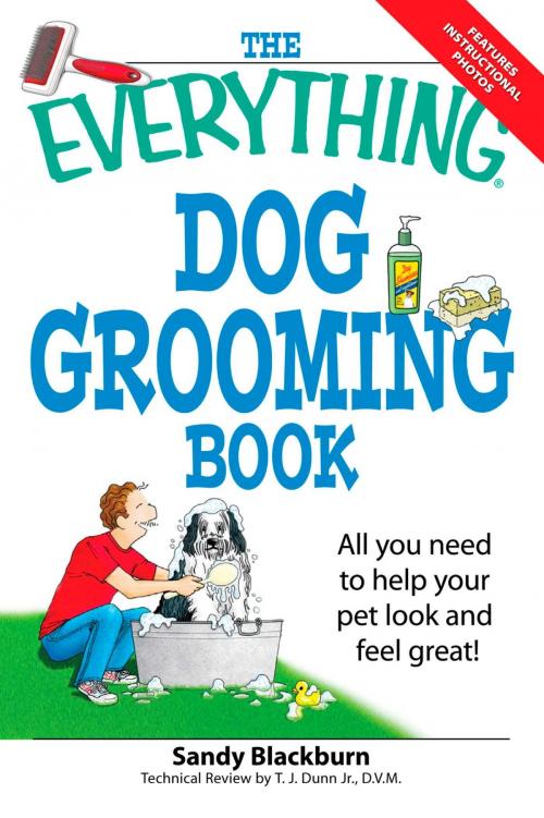Cover of the book The Everything Dog Grooming Book by Sandy Blackburn, Adams Media