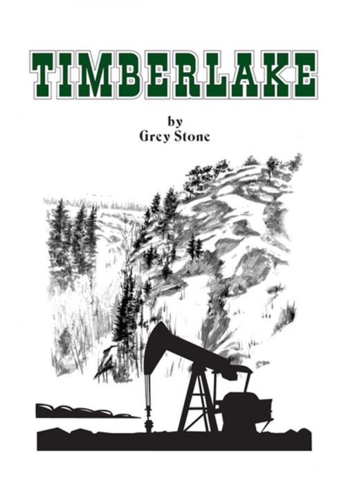 Cover of the book Timberlake by Grey Stone, Xlibris US
