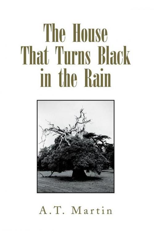 Cover of the book The House That Turns Black in the Rain by A.T. Martin, Xlibris US