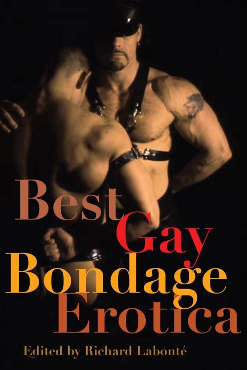 Cover of the book Best Gay Bondage Erotica by , Cleis Press
