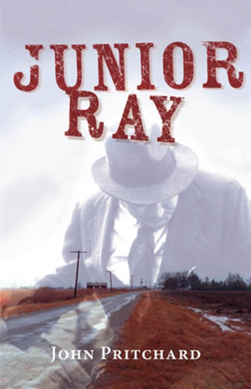 Cover of the book Junior Ray by John Pritchard, NewSouth Books