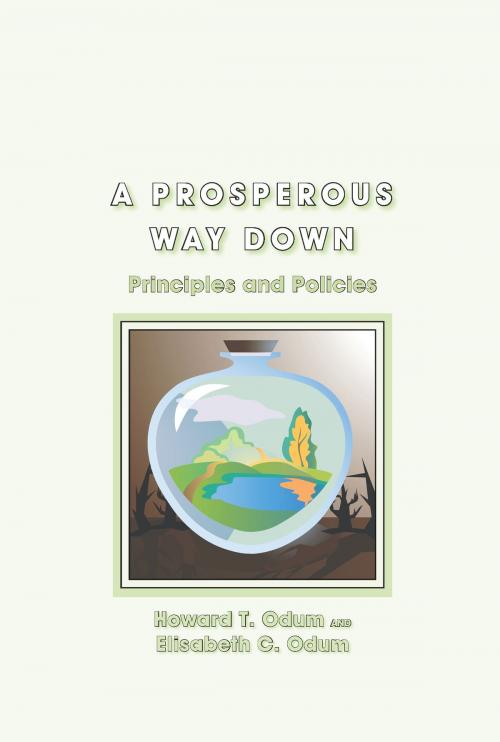 Cover of the book A Prosperous Way Down by Howard T. Odum, Elisabeth C. Odum, University Press of Colorado