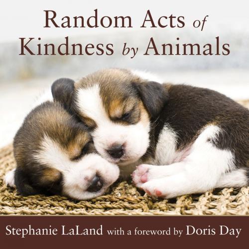 Cover of the book Random Acts of Kindness by Animals by Stephanie LaLand, Red Wheel Weiser