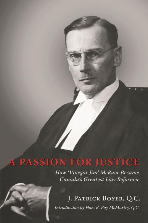 Cover of the book A Passion for Justice by J. Patrick Boyer, Dundurn