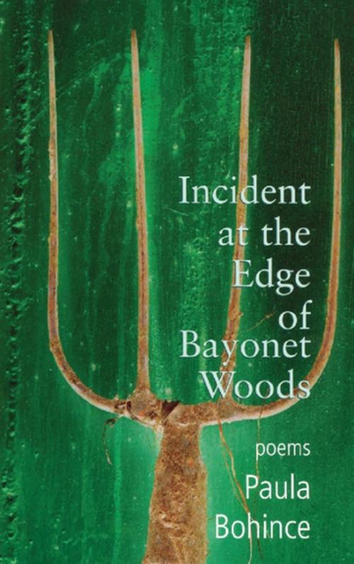 Cover of the book Incident at the Edge of Bayonet Woods by Paula Bohince, Sarabande Books