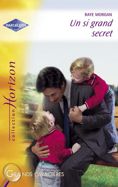 Cover of the book Un si grand secret (Harlequin Horizon) by Raye Morgan, Harlequin