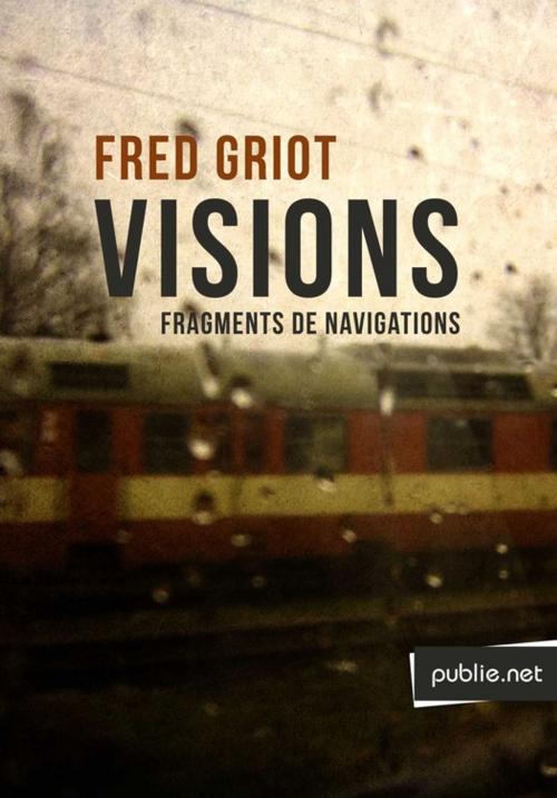 Cover of the book Visions by Fred Griot, publie.net