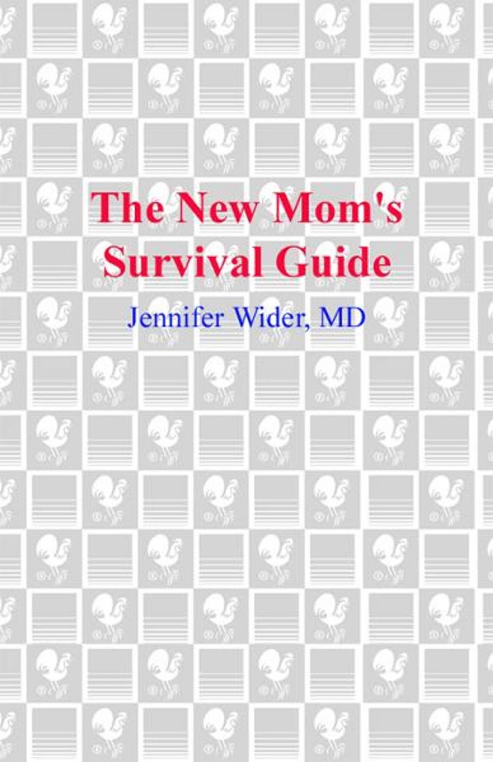 Big bigCover of The New Mom's Survival Guide