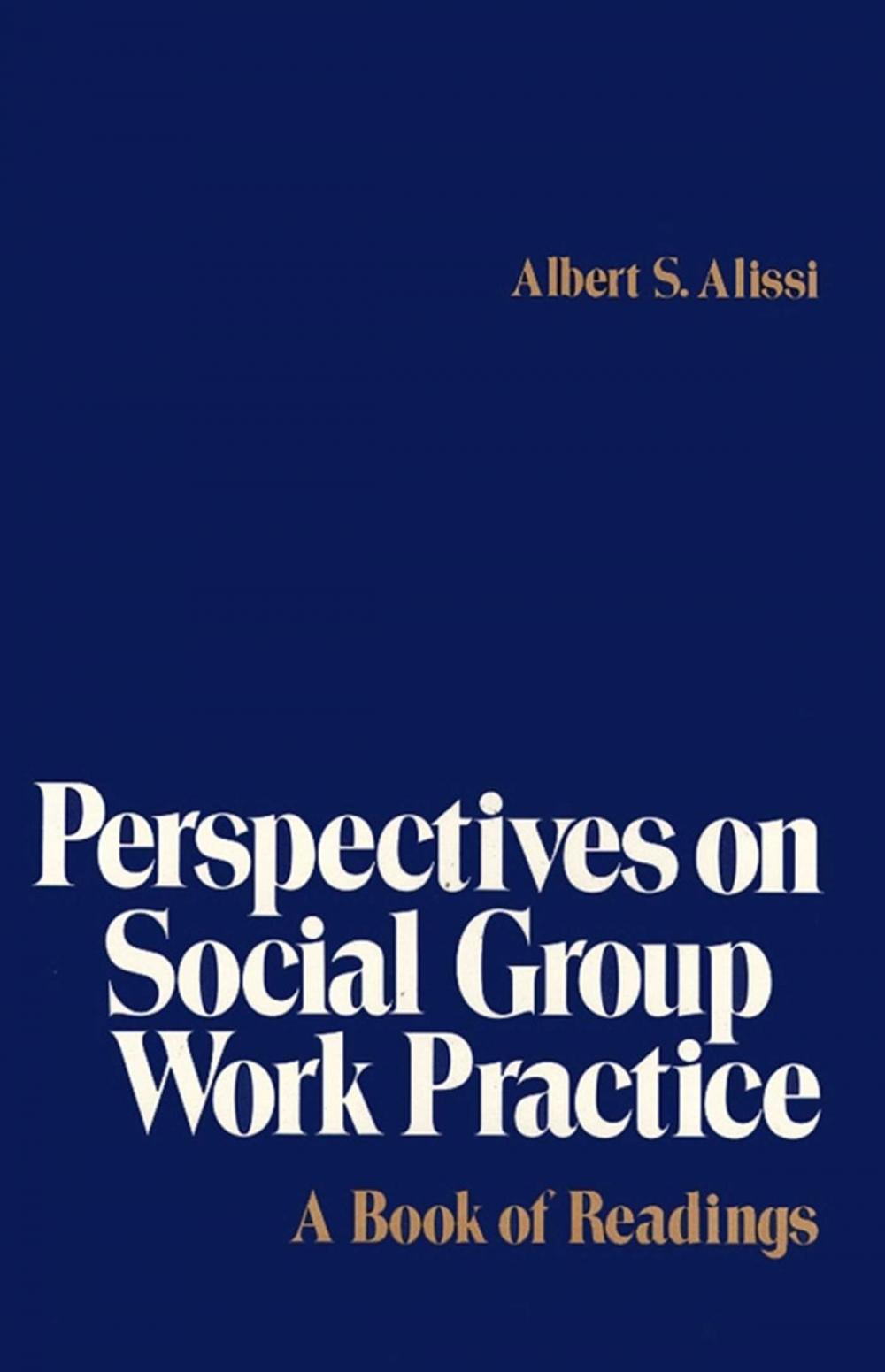 Big bigCover of Perspectives on Social Group Work Practice