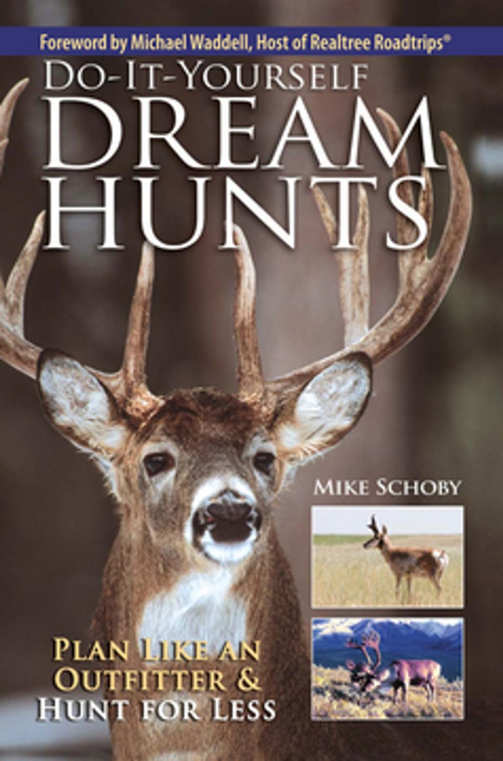 Big bigCover of Do-It-Yourself Dream Hunts
