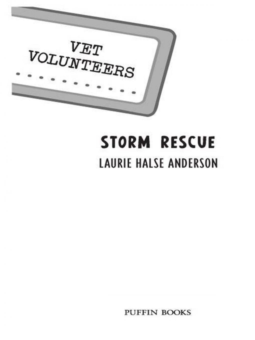 Big bigCover of Storm Rescue #6