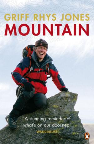 Cover of the book Mountain by Sarah Jewett