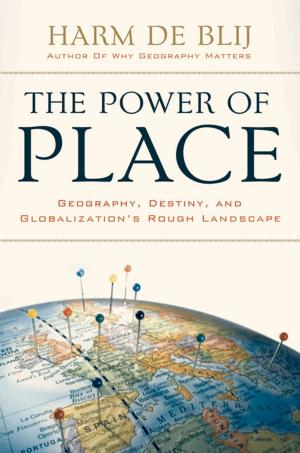 Cover of the book The Power of Place: Geography, Destiny, and Globalization's Rough Landscape by John E. Wills Jr.