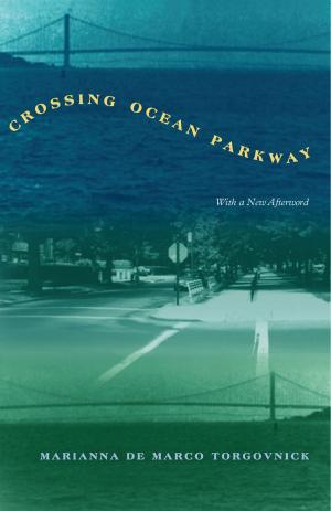 Cover of the book Crossing Ocean Parkway by A. F. K. Organski, Jacek Kugler