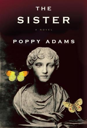 Cover of the book The Sister by Rufi Thorpe