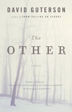 Cover of the book The Other by Oliver Sacks