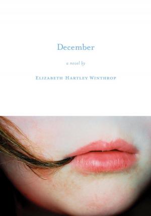 Cover of the book December by Alan Riding