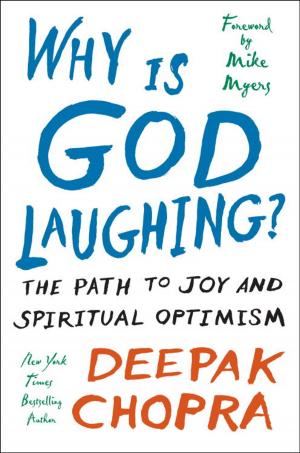 bigCover of the book Why Is God Laughing? by 