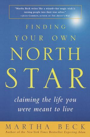Cover of the book Finding Your Own North Star by 中野信子