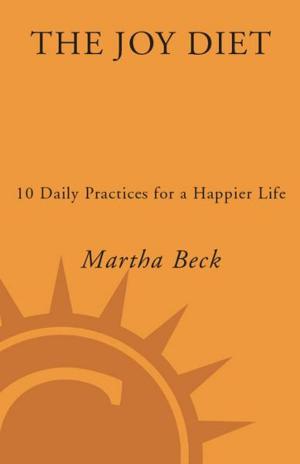 Book cover of The Joy Diet