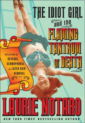 bigCover of the book The Idiot Girl and the Flaming Tantrum of Death by 
