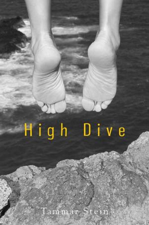 Cover of the book High Dive by Johanna Hurwitz