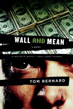 Cover of the book Wall and Mean: A Novel by Mark Slouka